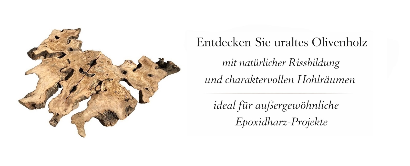 Olivenholz Wurzelstück mit natürlichen Löchern und Rissen für Epoxidharz Projekte